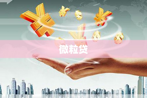 黑河微粒贷