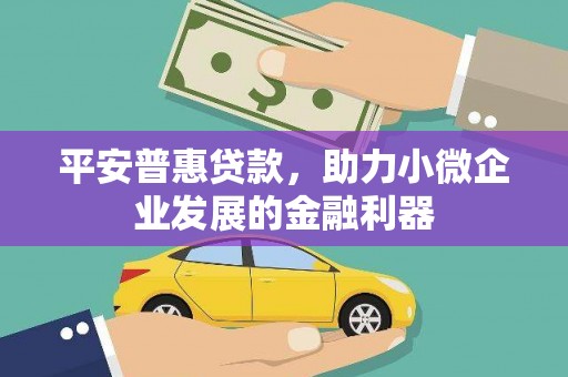 黑河平安普惠贷款，助力小微企业发展的金融利器