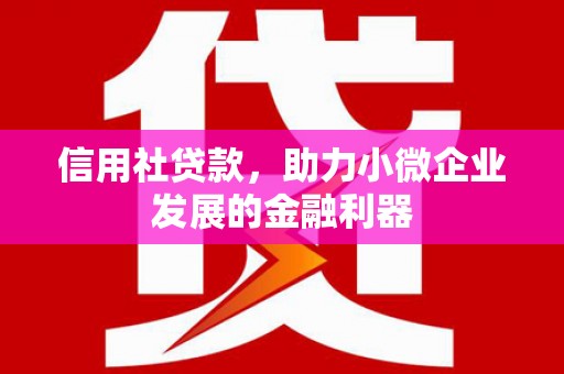 黑河信用社贷款，助力小微企业发展的金融利器