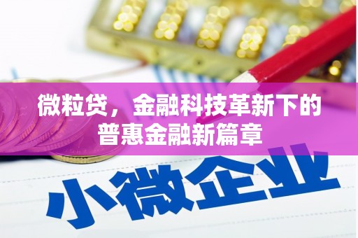 黑河微粒贷，金融科技革新下的普惠金融新篇章