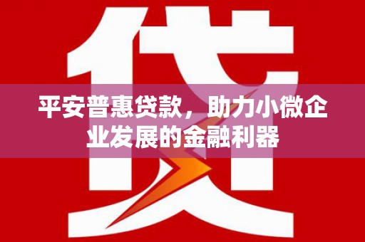 黑河平安普惠贷款，助力小微企业发展的金融利器