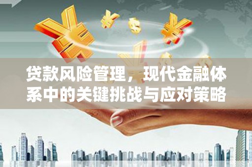 黑河贷款风险管理，现代金融体系中的关键挑战与应对策略
