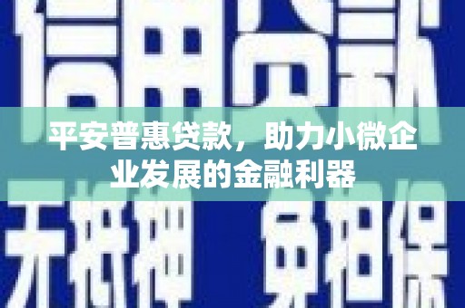 黑河平安普惠贷款，助力小微企业发展的金融利器